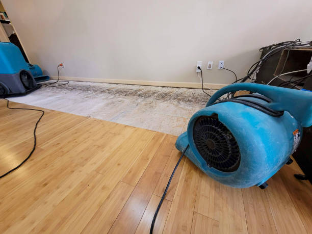 Professional Structural Drying technician working in Lehigh, IA